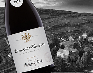 Chateau Philippe Le Hardi - Chambolle Musigny - Rouge - 2021