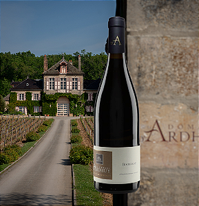 DOMAINE D'ARDHUY - Bourgogne Pinot Noir - Rouge - 2023