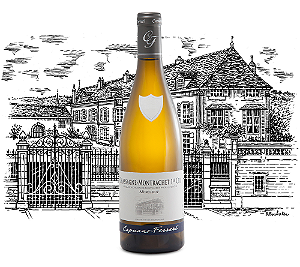 Domaine Capuano Ferreri - Chassagne Montrachet Premier Cru Morgeot - Blanc - 2023 - 0,75