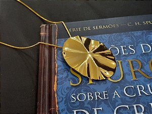 Colar Chapa  Orgânica Variado