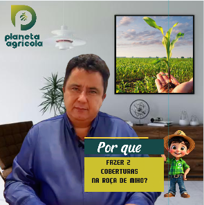 DUAS COBERTURAS NO MILHO