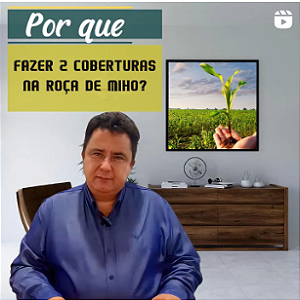 PORQUE FAZER 2 COBERTURAS NA ROÇA DE MILHO?