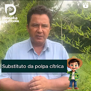 SUBSTITUTO DA POLPA CÍTRICA