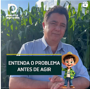 ENTENDA O PROBLEMA ANTES DE AGIR