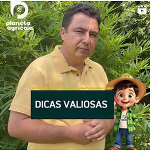 DICAS VALIOSAS
