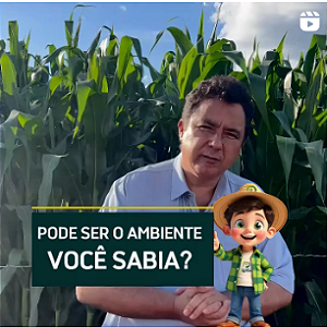 PODE SER O AMBIENTE, VOCÊ SABIA?