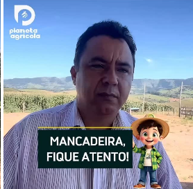 MANCADEIRA, FIQUE ATENTO.