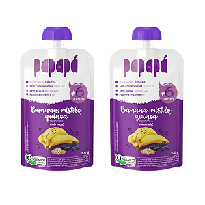 Kit 2 Papinha Orgânica Banana, Mirtilo e Quinoa - 100G