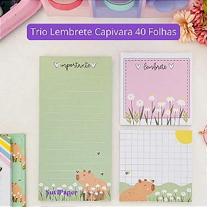 Trio Bloco de Notas Lembrete 40 Folhas Capivara
