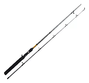 Vara p/ Carretilha FX FXC66MHC2 6'6" 10~20lbs (1,98m) 2 Partes - Shimano