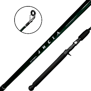 Vara p/ Carretilha Julia 2,10m 40-80lb 2 Partes - Ottoni