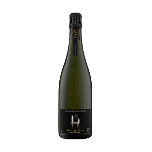 Espumante Hortência Alma H Blanc de Blanc Nature 750 ml