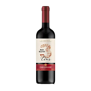 Vinho Casa Geraldo 3 Tons Red Blend Meio Seco 750 ml