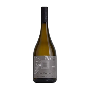 Vinho Casa Valduga Terroir Sauvignon Blanc 750 ml