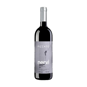 Vinho Pizzato Nervi Reserva Tannat 750 ml