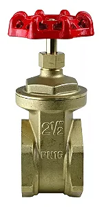 Valvula gaveta - 2 1/2"