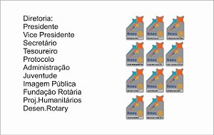 PINS LEMA 2024-2025 - DIRETORIA E COMISSÕES