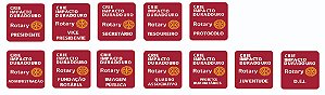 PINS DIRETORIA 2026-2027