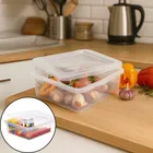 Caixa organizadora multiuso plástica 2,5 Lts C/tp Pleion 0707