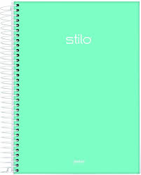CADERNO CD ESPIRAL 10X1 160FLS STILO VERDE PASTEL JANDAIA