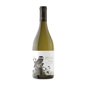 Tierra de Lechuzas Sauvignon Blanc 2022