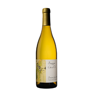 Guy Bocard Bourgogne Côte d'Or 2022
