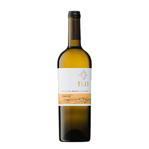 H. O. Douro Moscatel Galego Branco 2023
