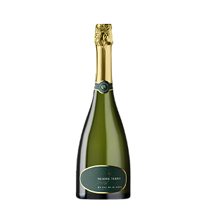 Madre Terra VentreZ Blanc de Blancs Nature
