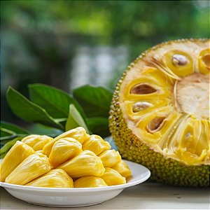 JACA DURA (Artocarpus heterophyllus)