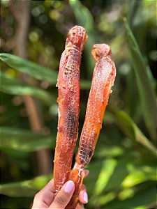 CHOCALHO AORTA BOVINA RECHEADA - 1 UNID - PETBEM