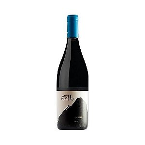 Vinho Andes Plateau Cota 500 Syrah 750ml