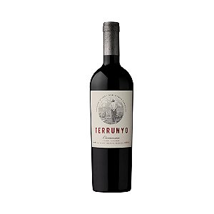 Vinho Tinto Seco Terrunyo Carmenere 750ml