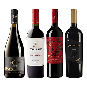Kit 4 Vinhos Chilenos Perez Cruz Diablo Los Riscos Paso