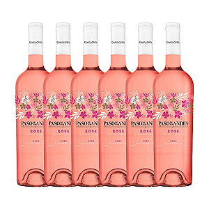Kit 6 Vinho Rosé Cabernet Sauvignon Paso de Los Andes