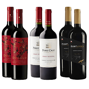 Kit 6 Vinhos Tintos Top Sellers