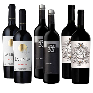 Kit 6 Vinhos Malbec Premium Argentina