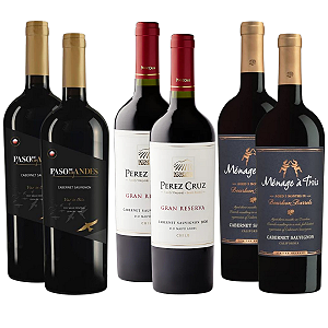 Kit 6 Vinhos Cabernet Sauvignon Premium