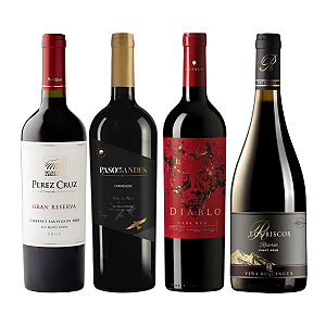 Kit 4 Vinhos Degustação Chile
