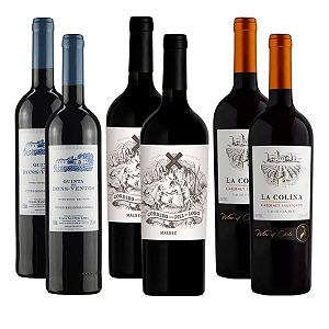 Kit 6 Vinhos Tintos do Dia a Dia