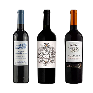 Kit 3 Vinhos Tintos do Dia a Dia – Sabores de Três Países