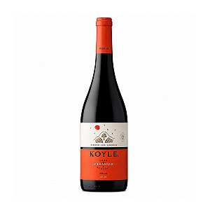 Vinho Tinto Seco Koyle Gran Reserva Organico Syrah 750ml