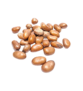 Fava Ario