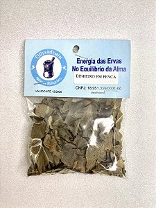 Erva Dinheiro em Penca