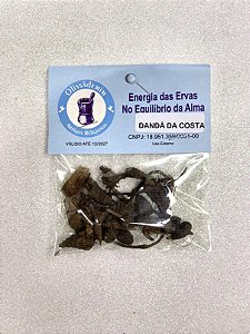 Dandá da Costa - Raiz