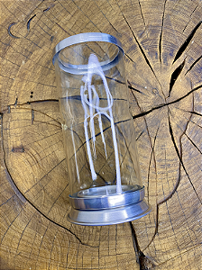 Porta Vela 7 dias - Alumínio e vidro