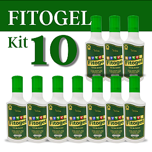 Kit com 10 Fitogel Gel de Arnica 200g para Alívio Muscular e Articular