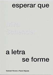 MIRA SCHENDEL - ESPERAR QUE A LETRA SE FORME