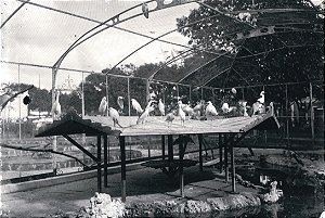 CARTÃO-POSTAL QUANDO O MUSEU É RIO - GAIOLA DAS AVES AQUÁTICAS, EM FERRO, IMPORTADA DA FRANÇA