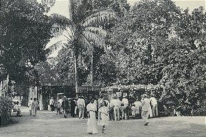 CARTÃO-POSTAL QUANDO O MUSEU É RIO - VIVEIRO DAS LONTRAS