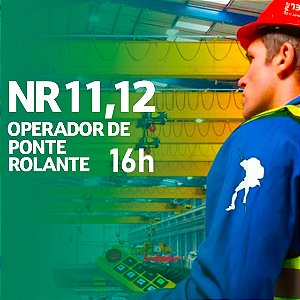 NR 11 - NR 12 - Operador de Ponte Rolante (16 H. Semipresencial)